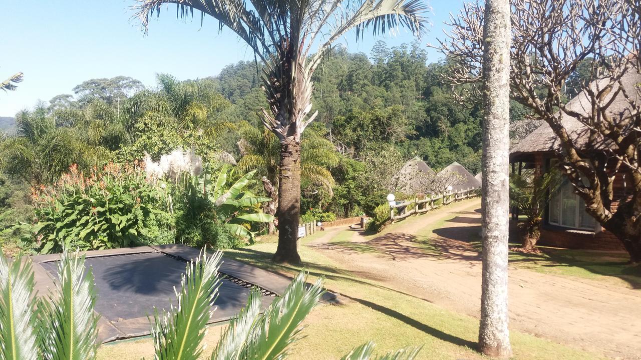 Magoebaskloof Mountain Lodge Tzaneen Dış mekan fotoğraf