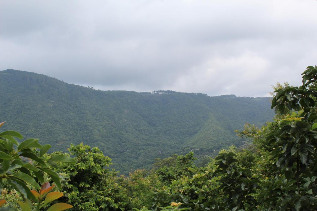 Magoebaskloof Mountain Lodge Tzaneen Dış mekan fotoğraf